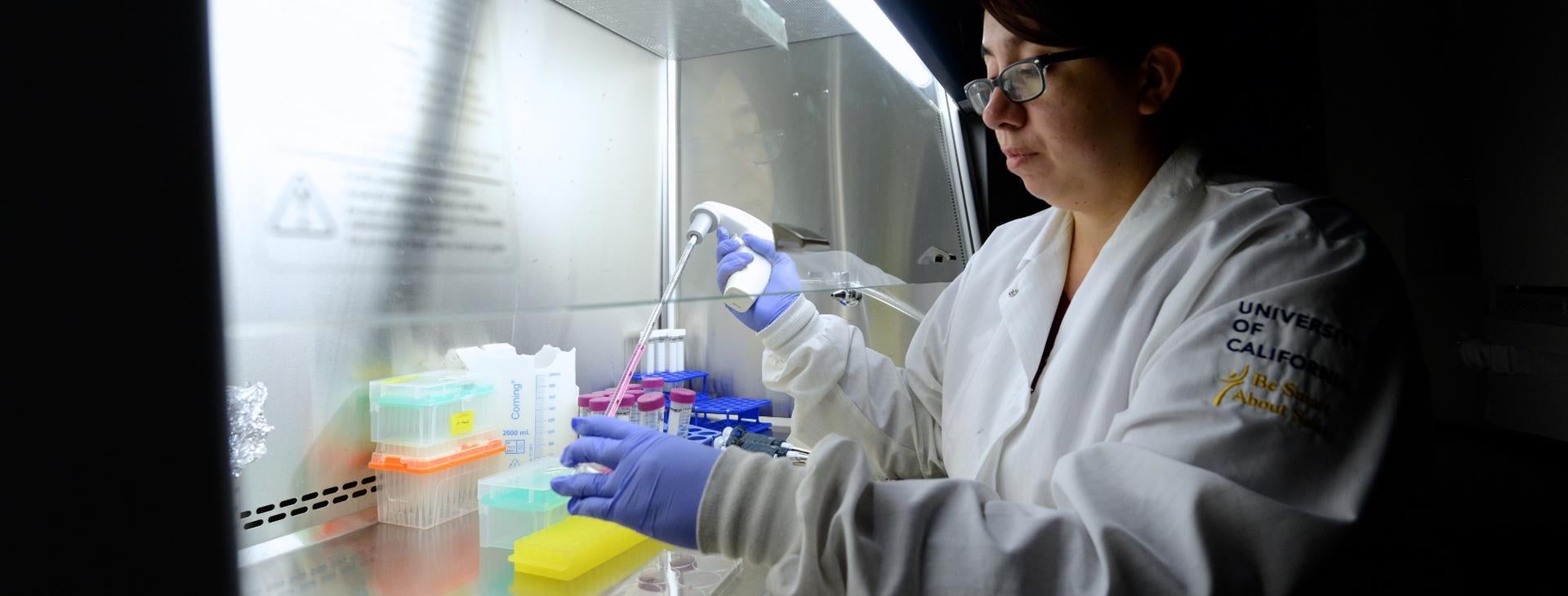 School of Medicine Division of Biomedical Sciences Bridging the gap